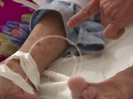 Hà Nội chung tay phòng chống và đẩy lùi bệnh dại