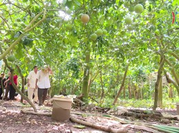 Nữ cán bộ tận tâm vì sự phát triển của cộng đồng