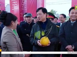 Phát huy bản sắc văn hóa, xây dựng Minh Châu ngày càng phát triển 