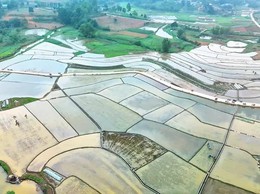 VỤ XUÂN TRÊN QUÊ HƯƠNG BA VÌ