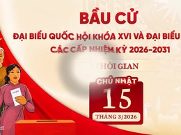 Hướng dẫn quy trình bỏ phiếu bầu cử đại biểu Quốc hội khóa XVI và đại biểu HĐND các cấp nhiệm kỳ 2026 - 2031
