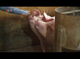 Đổi thay ở xã đảo Minh Châu