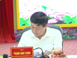 Tin hình:Hội nghị giám sát hiệu quả thực hiện Chương trình mục tiêu quốc gia phát triển kinh tế - xã hội vùng đồng bào dân tộc thiểu số và miền núi