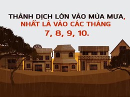 PHƯỜNG DƯƠNG NỘI KÍCH HOẠT SỚM CÁC BIỆN PHÁP PHÒNG CHỐNG SỐT XUẤT HUYẾT