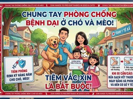 CHUNG TAY PHÒNG CHỐNG BỆNH DẠI Ở CHÓ VÀ MÈO