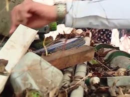 Hà Nội chủ động triển khai các biện pháp phòng, chống dịch bệnh truyền nhiễm