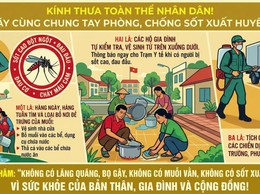 Vì sức khỏe của bản thân, gia đình và cộng đồng, hãy cùng chung tay phòng, chống bệnh sốt xuất huyết, góp phần xây dựng môi trường sống an toàn, sạch đẹp và không có dịch bệnh