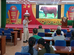 Hội nghị tập huấn Kỹ thuật chăn nuôi bò thịt tại xã Minh Tân, Quang Lãng