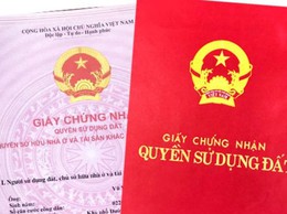 Hà Nội: Khẩn trương đẩy nhanh tiến độ số hoá Giấy chứng nhận quyền sử dụng đất