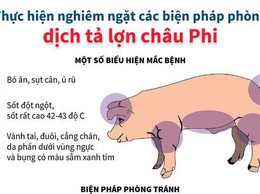 BÀI TUYÊN TRUYỀN VỀ DỊCH TẢ LỢN CHÂU PHI