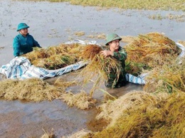 Lực lượng vũ trang kề vai, sát cánh cùng nhân dân vượt khó