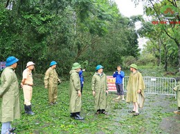 Đồng chí Phó bí thư Thường trực huyện uỷ Quốc Oai kiểm tra thực tế, chỉ đạo lực lượng chức năng khẩn trương khắc phục hậu quả sau bão số 3.