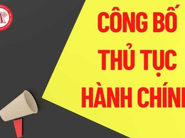 Danh mục thủ tục hành chính đủ điều kiện cung cấp dịch vụ công trực tuyến, tích hợp cung cấp trên Cổng dịch vụ công Quốc gia