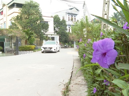 Xã NTM kiểu mẫu Phú Yên đón Xuân về