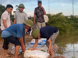 THÔN THỤY HƯƠNG GIA CỐ ĐÊ NGĂN LỤT TRÀN