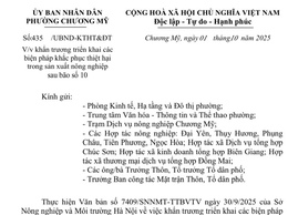Chương Mỹ tăng cường khắc phục thiệt hại trong sản xuất nông nghiệp sau bão số 10
