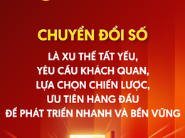 GIỚI THIỆU BỘ NHẬN DIỆN CHUYỂN ĐỔI SỐ QUỐC GIA 2025 