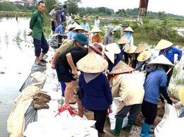 NHÂN DÂN XÃ NỘI BÀI KHẮC PHỤC HẬU QUẢ BÃO SỐ 11