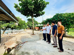 Anh Hoàng Tiến Tuyên, hội viên nông dân làm kinh tế giỏi từ mô hình VAC