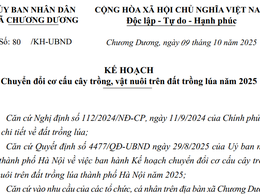 Kế hoạch Chuyển đổi cơ cấu cây trồng, vật nuôi trên đất trồng lúa năm 2025