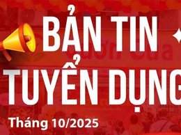 Tổng hợp thông tin và nhu cầu tuyển dụng tháng 10/2025