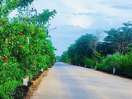Xã Yên Bài chung tay xây dựng thôn, xóm, ngõ sáng – xanh – sạch – đẹp – an toàn