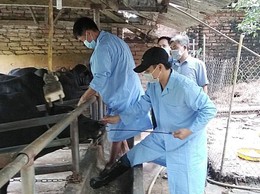 Hà Nội ủy quyền cho Giám đốc Sở Nông nghiệp và Môi trường giải quyết 28 thủ tục hành chính lĩnh vực Chăn nuôi, Thủy sản và Thú y