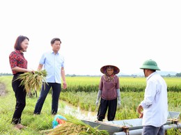 Giám đốc Sở Nông Nghiệp và Môi trường thành phố Hà Nội thăm và chỉ đạo công tác phòng chống lũ lụt tại xã Đa Phúc