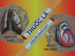 Thuốc lá – 