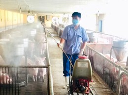 Tăng cường biện pháp an toàn sinh học trong các cơ sở chăn nuôi 