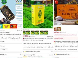 Triển khai Chương trình 