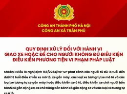 QUY ĐỊNH XỬ LÝ ĐỐI VỚI HÀNH VI GIAO XE HOẶC ĐỂ CHO NGƯỜI KHÔNG ĐỦ ĐIỀU KIỆN ĐIỀU KHIẾN PHƯƠNG TIỆN VI PHẠM PHÁP LUẬT