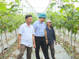 Ông Nguyễn Văn Tuấn – Trưởng thôn năng động, nhiệt tình
