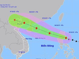 Xã Ứng Hòa: Chủ động thu hoạch lúa mùa, bảo vệ hoa màu và thủy sản trước bão số 11.