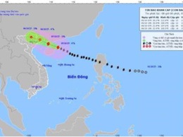 Tin bão khẩn cấp (Cơn bão số 11)