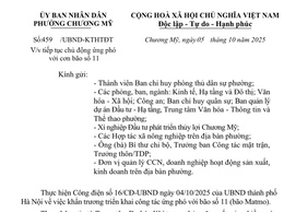 Chủ động ứng phó với cơn bão số 11