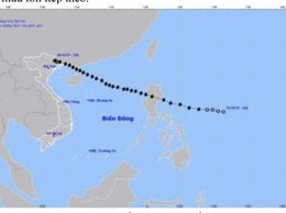 TIN CUỐI CÙNG VỀ CƠN BÃO SỐ 11
