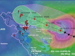 HỎA TỐC: CHỦ ĐỘNG ỨNG PHÓ MƯA LỚN DO HOÀN LƯU BÃO SỐ 11 (MATMO) 