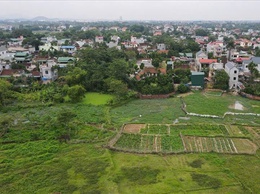Cách xử lý khi sai lệch thông tin sổ đỏ trong 90 ngày làm sạch dữ liệu đất đai