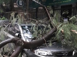 Công an phường Tương Mai hỗ trợ người dân xử lý cây đổ vào ô tô sau mưa lớn