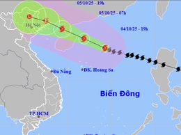 PHƯỜNG VĂN MIẾU – QUỐC TỬ GIÁM CHỦ ĐỘNG TRIỂN KHAI CÁC BIỆN PHÁP ỨNG PHÓ VỚI BÃO SỐ 11 (BÃO MATMO)