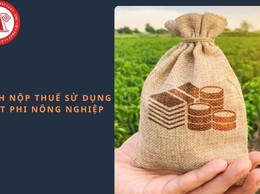 UBND xã Sóc Sơn Hướng dẫn nộp thuế sử dụng đất phi nông nghiệp qua ứng dụng eTax Mobile