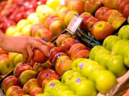 Tăng cường quản lý các cửa hàng kinh doanh trái cây
trên địa bàn Phường Ô Chợ Dừa