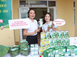 Tinh bột sắn dây gia truyền Út Liên và hành trình xây dựng thương hiệu Ocop 3 sao
