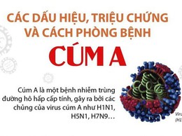 CÚM A CÓ DẤU HIỆU GIA TĂNG – NGƯỜI DÂN CẦN LƯU Ý