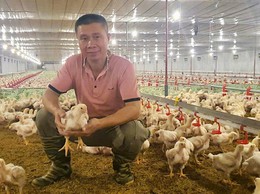Kỹ sư với mô hình chăn nuôi hiện đại ứng dụng công nghệ số hiệu quả