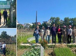 Hà Nội: Xã Nội Bài tổ chức tập huấn kỹ thuật sản xuất rau hữu cơ