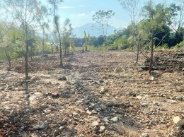 Người dân tự tháo dỡ công trình vi phạm tại hồ Đồng Mô