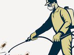 Triển khai phun hóa chất diệt muỗi, chủ động phòng chống sốt xuất huyết tại phường Đống Đa