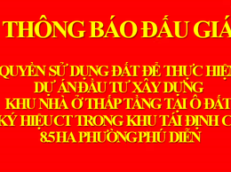 Thông báo đấu giá quyền sử dụng đất để thục hiện dự án đầu tư xây dựng khu nhà ở thấp tầng tại ô đất ký hiệu CT trong khu tái định cư 8.5ha, phường Phú Diễn, TP. Hà Nội